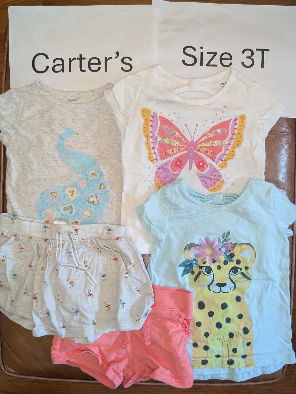 Carter's 3T T-shirts And Shorts